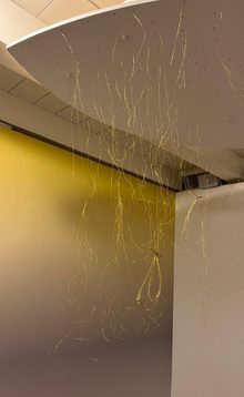 PHOTO 2023 10 03 14 15 01