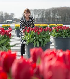 Saskia Albrecht Tulp Festival, 2023, Maayke de Ridder