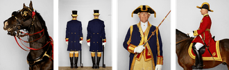 Hedendaags beeld op Gouden Koets. Paard, kleding en meer