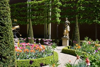 Tulp festival 23