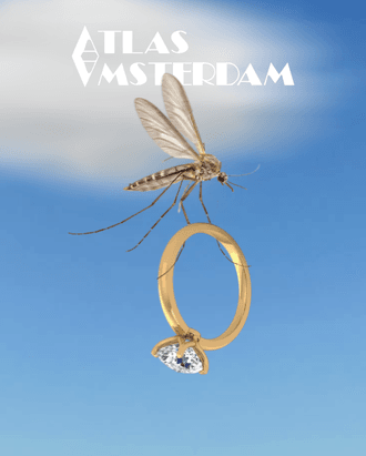 Mosquito img IG format new
