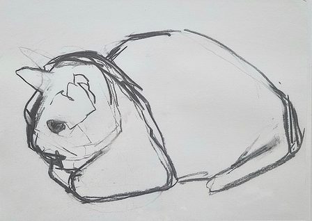 Margaretha Louwers, Pluis (Fluff), date unknown