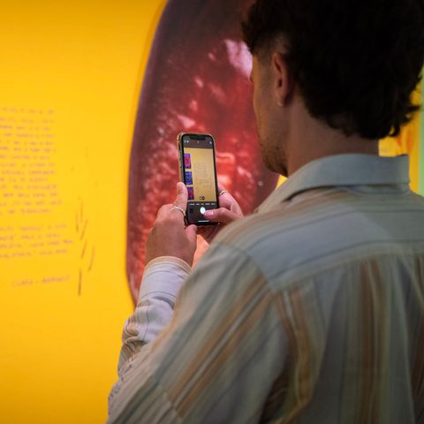 54660408561 6c43b1eed5 o