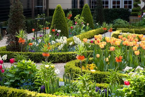 Tulp Festival Huis Willet-Holthuysen