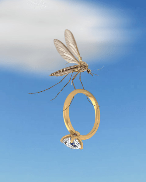 Mosquito img IG format zonder logo