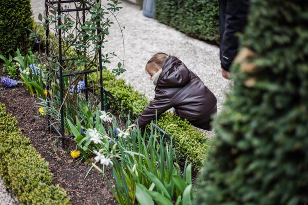 Pasen Huis Willet-Holthuysen, eieren zoeken