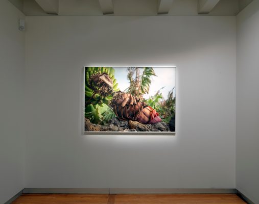 Natascha Libbert Isla Bonita 2022 Foto Amsterdam Museum Gert Jan van Rooij