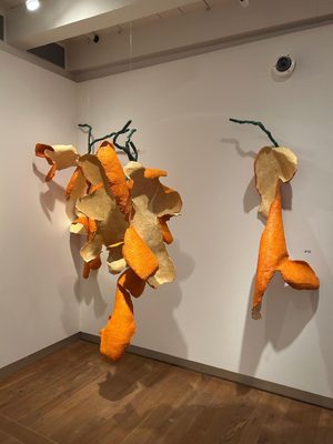 PEELed: De Voeding Die We Overzien #1, Daniella Rubinovitz