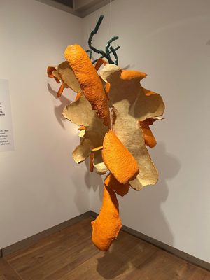 PEELed: De Voeding Die We Overzien #2, Daniella Rubinovitz